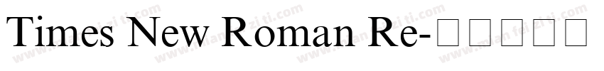 Times New Roman Re字体转换